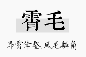 霄毛名字的寓意及含义