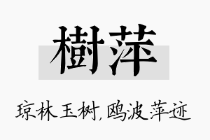 树萍名字的寓意及含义