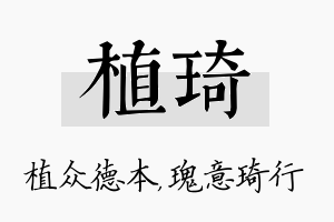 植琦名字的寓意及含义