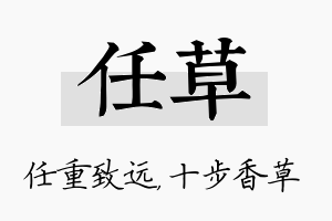 任草名字的寓意及含义