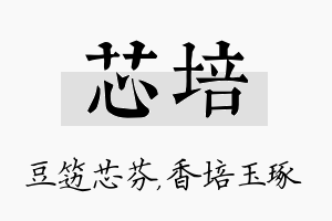 芯培名字的寓意及含义