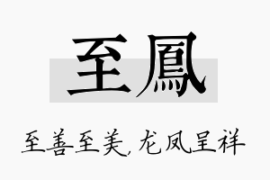 至凤名字的寓意及含义