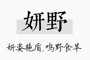 妍野名字的寓意及含义