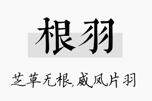 根羽名字的寓意及含义