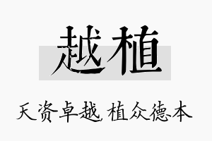 越植名字的寓意及含义