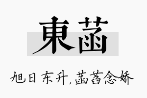 东菡名字的寓意及含义