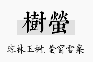 树萤名字的寓意及含义