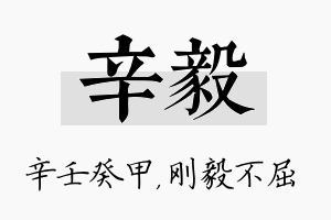 辛毅名字的寓意及含义