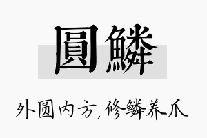 圆鳞名字的寓意及含义