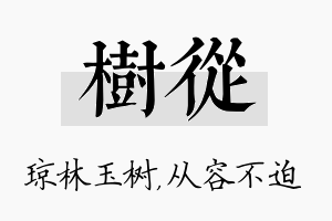 树从名字的寓意及含义