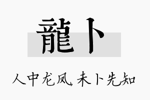 龙卜名字的寓意及含义