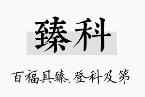 臻科名字的寓意及含义