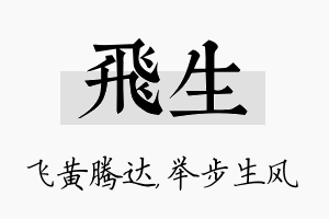 飞生名字的寓意及含义