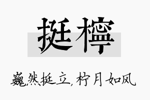 挺柠名字的寓意及含义