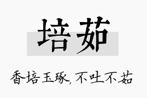 培茹名字的寓意及含义