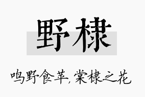 野棣名字的寓意及含义