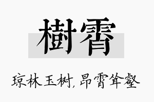 树霄名字的寓意及含义