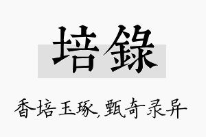 培录名字的寓意及含义