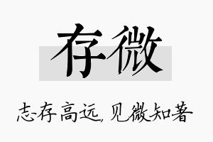 存微名字的寓意及含义