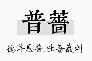 普蔷名字的寓意及含义