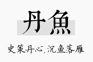 丹鱼名字的寓意及含义