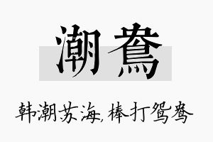 潮鸯名字的寓意及含义