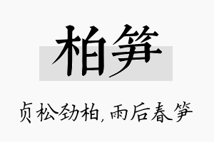 柏笋名字的寓意及含义