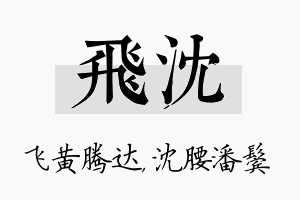 飞沈名字的寓意及含义