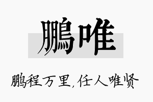 鹏唯名字的寓意及含义