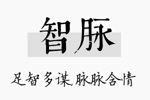 智脉名字的寓意及含义