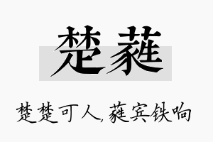 楚蕤名字的寓意及含义