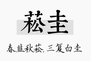 菘圭名字的寓意及含义