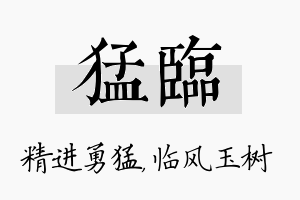 猛临名字的寓意及含义