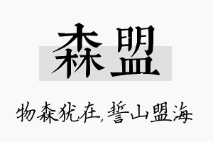 森盟名字的寓意及含义