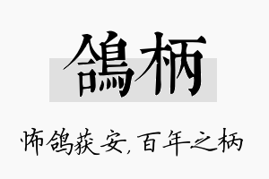 鸽柄名字的寓意及含义