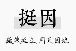 挺因名字的寓意及含义