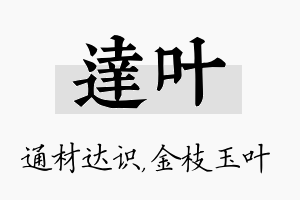 达叶名字的寓意及含义