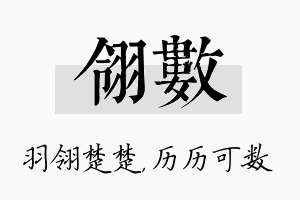 翎数名字的寓意及含义