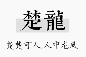 楚龙名字的寓意及含义