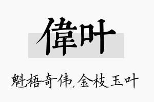 伟叶名字的寓意及含义