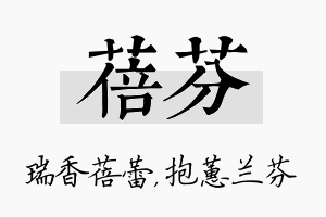 蓓芬名字的寓意及含义