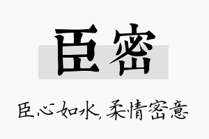 臣密名字的寓意及含义