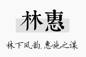 林惠名字的寓意及含义