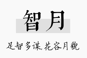 智月名字的寓意及含义