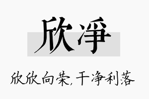 欣净名字的寓意及含义