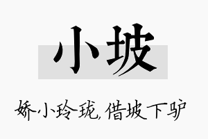 小坡名字的寓意及含义