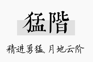 猛阶名字的寓意及含义