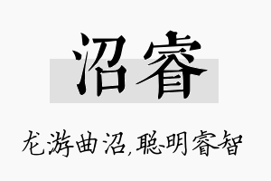 沼睿名字的寓意及含义