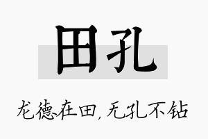 田孔名字的寓意及含义