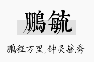 鹏毓名字的寓意及含义